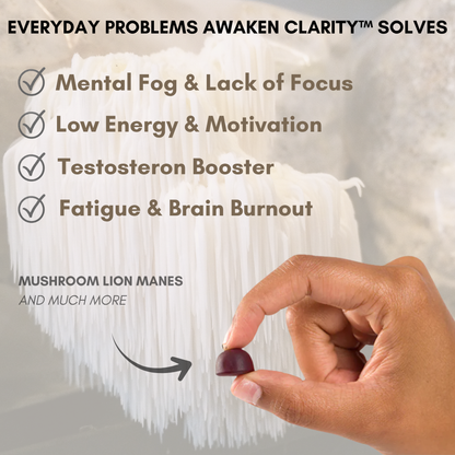 Awaken Clarity ™ Lion Mane + Mushroom