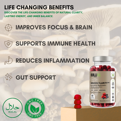 Awaken Clarity ™ Lion Mane + Mushroom